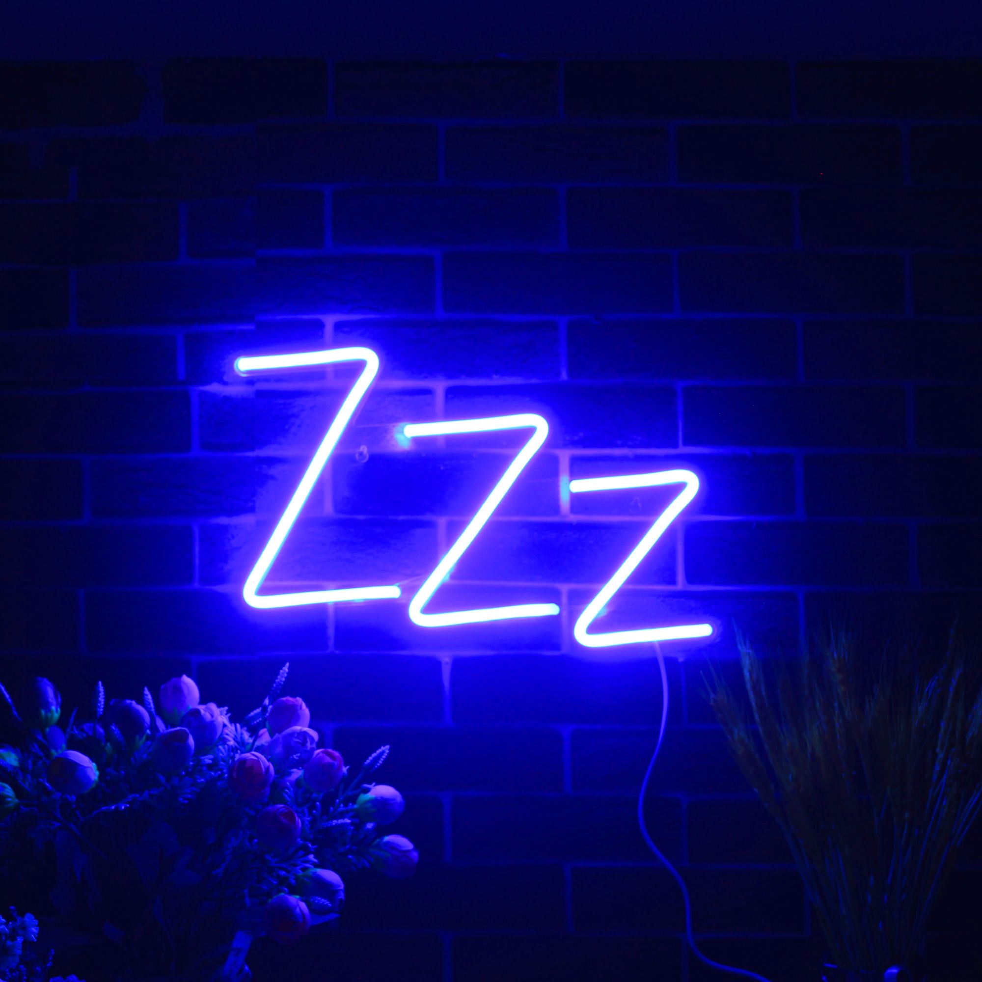 ADVPRO ZZZ Ultra-Bright LED Neon Sign with 13 combinations