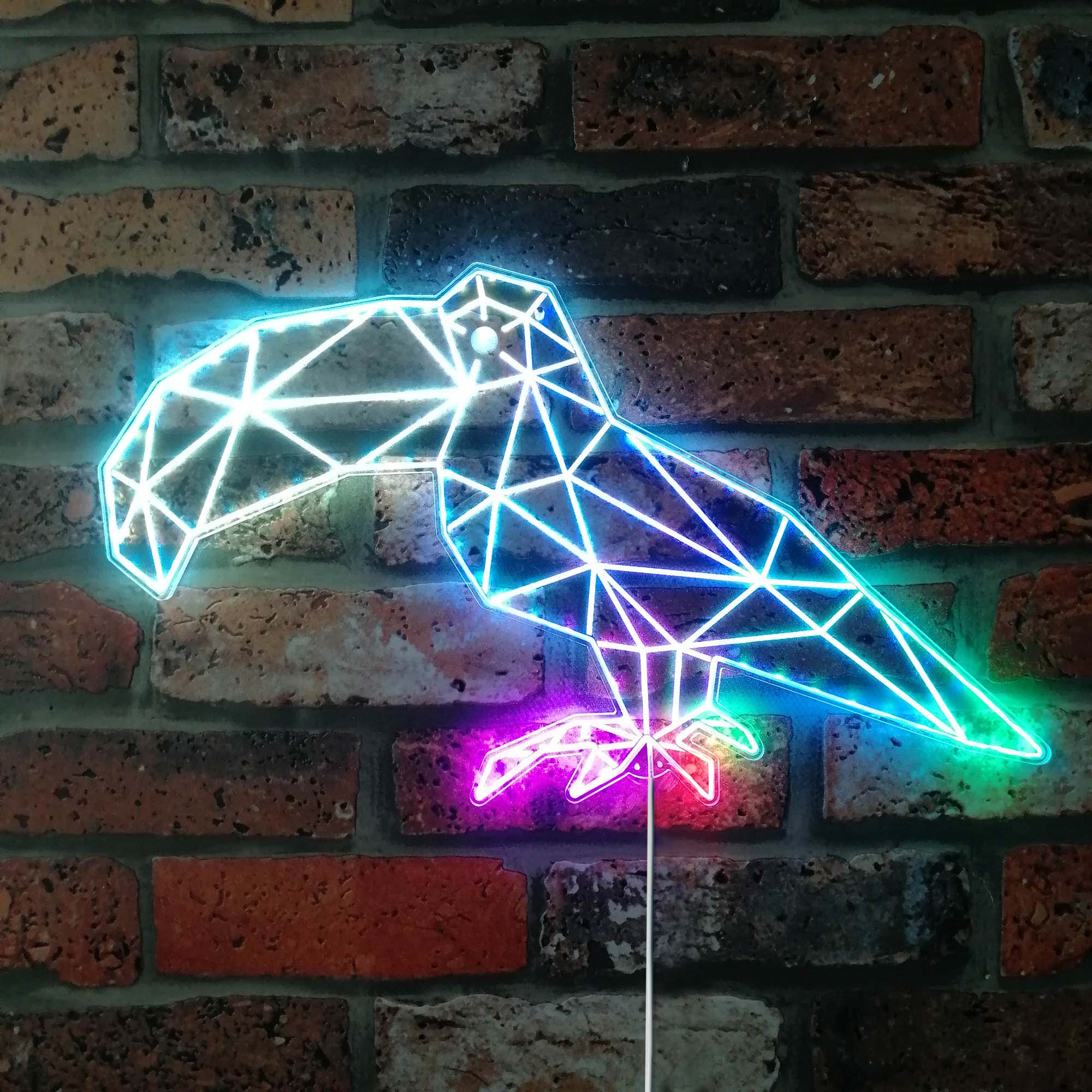 ADVPRO Nome Personalizzato Hamster RGB Dynamic Glam LED Sign   Forma tagliata a bordo   Decorazione 3D intelligente   Segnaletica multicolore   st06s22 fnd p0014 tm