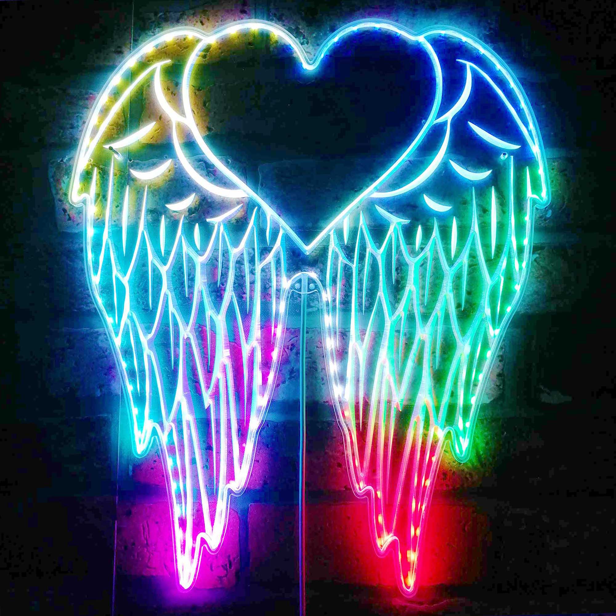 ADVPRO Angel Wing Woman Girl Room RGB Dynamic Glam LED Sign - Cut