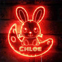 Personalized Rabbit RGB Dynamic Glam LED Sign st06-fnd-p0003-tm