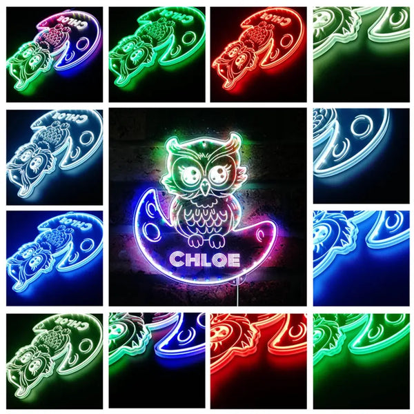 Personalized Owl RGB Dynamic Glam LED Sign st06-fnd-p0019-tm