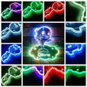 Personalized Dolphin RGB Dynamic Glam LED Sign st06-fnd-p0028-tm