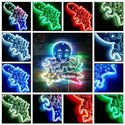 Personalized Octopus RGB Dynamic Glam LED Sign st06-fnd-p0021-tm