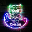 Personalized Owl RGB Dynamic Glam LED Sign st06-fnd-p0019-tm