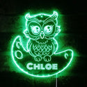 Personalized Owl RGB Dynamic Glam LED Sign st06-fnd-p0019-tm