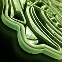 st06-fnd-p0060-tm-s6