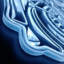 st06-fnd-p0060-tm-s5