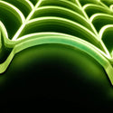 st06-fnd-p0061-tm-s6