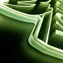 st06-fnd-p0063-tm-s6
