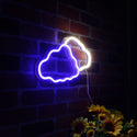 advpro-two-clouds-ultra-bright-led-neon-sign-fnu0007