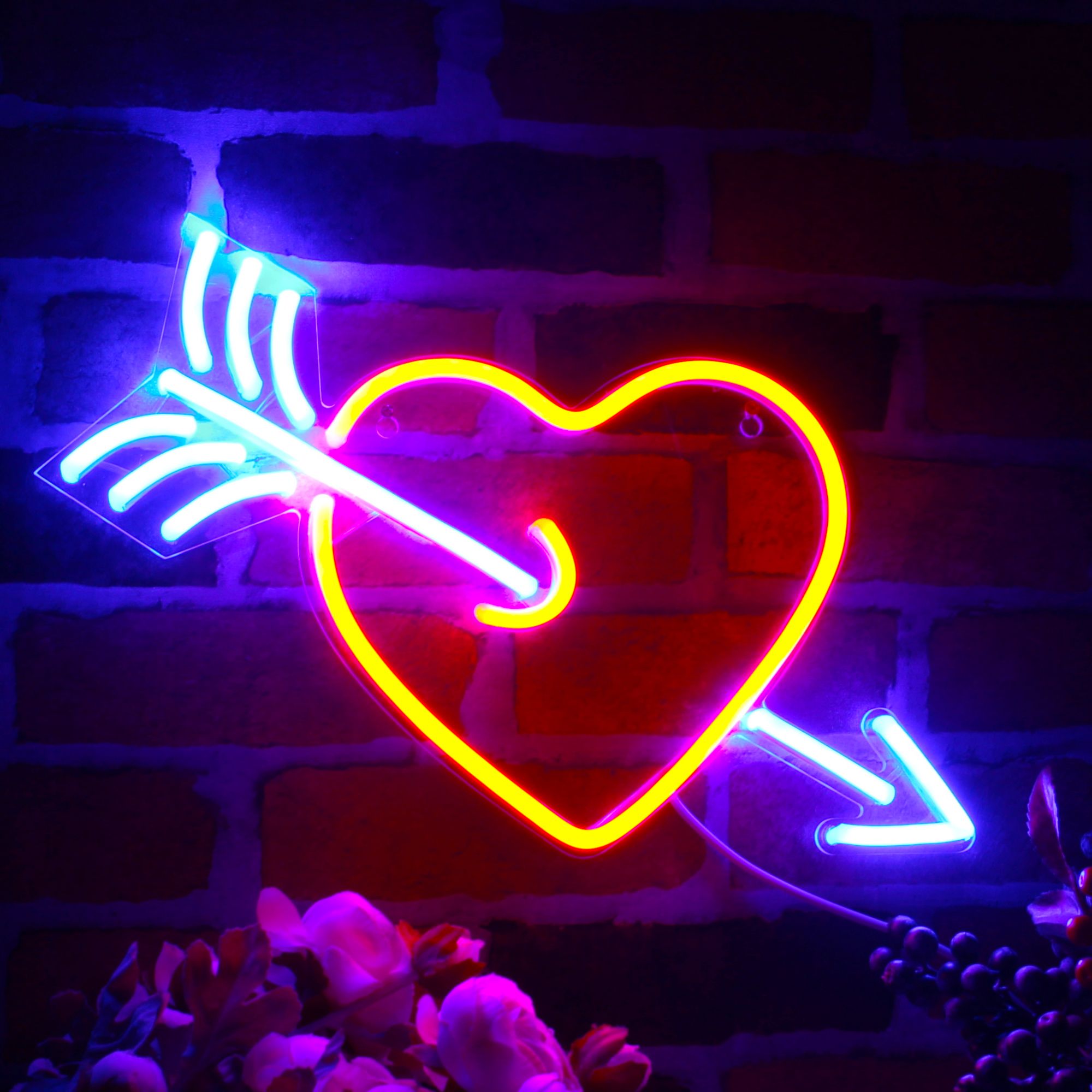 ADVPRO Heart and Arrow Ultra-Bright LED Neon Sign with 13 combinations ...
