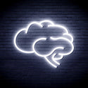 advpro-brain-ultra-bright-led-neon-sign-fnu0063 - White