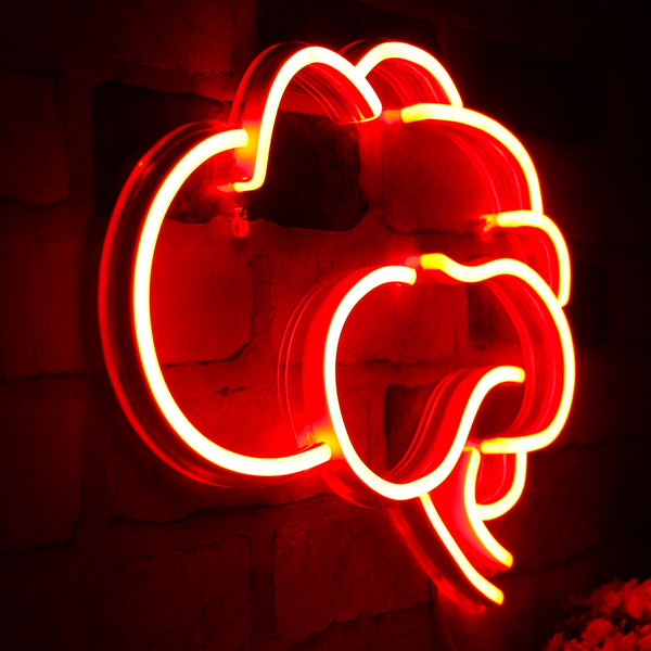 advpro-brain-ultra-bright-led-neon-sign-fnu0063