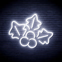 advpro-christmas-holly-ultra-bright-led-neon-sign-fnu0165 - White