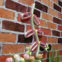 advpro-firecracker-ultra-bright-led-neon-sign-fnu0185