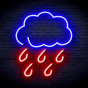 advpro-raining-cloud-ultra-bright-led-neon-sign-fnu0259 - Blue & Red