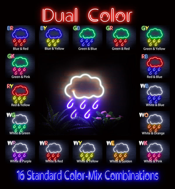 advpro-raining-cloud-ultra-bright-led-neon-sign-fnu0259 - Dual-Color