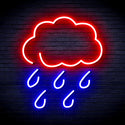 advpro-raining-cloud-ultra-bright-led-neon-sign-fnu0259 - Red & Blue