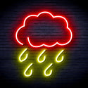 advpro-raining-cloud-ultra-bright-led-neon-sign-fnu0259 - Red & Yellow