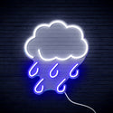 advpro-raining-cloud-ultra-bright-led-neon-sign-fnu0259