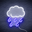 advpro-raining-cloud-ultra-bright-led-neon-sign-fnu0259
