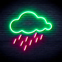 advpro-raining-cloud-ultra-bright-led-neon-sign-fnu0260 - Green & Pink