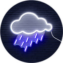 advpro-raining-cloud-ultra-bright-led-neon-sign-fnu0260