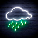 advpro-raining-cloud-ultra-bright-led-neon-sign-fnu0260 - White & Green