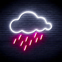 advpro-raining-cloud-ultra-bright-led-neon-sign-fnu0260 - White & Pink