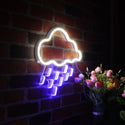 advpro-raining-cloud-ultra-bright-led-neon-sign-fnu0260