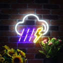 advpro-raining-cloud-with-thunder-ultra-bright-led-neon-sign-fnu0261