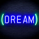 advpro-dream-ultra-bright-led-neon-sign-fnu0351 - Green & Blue