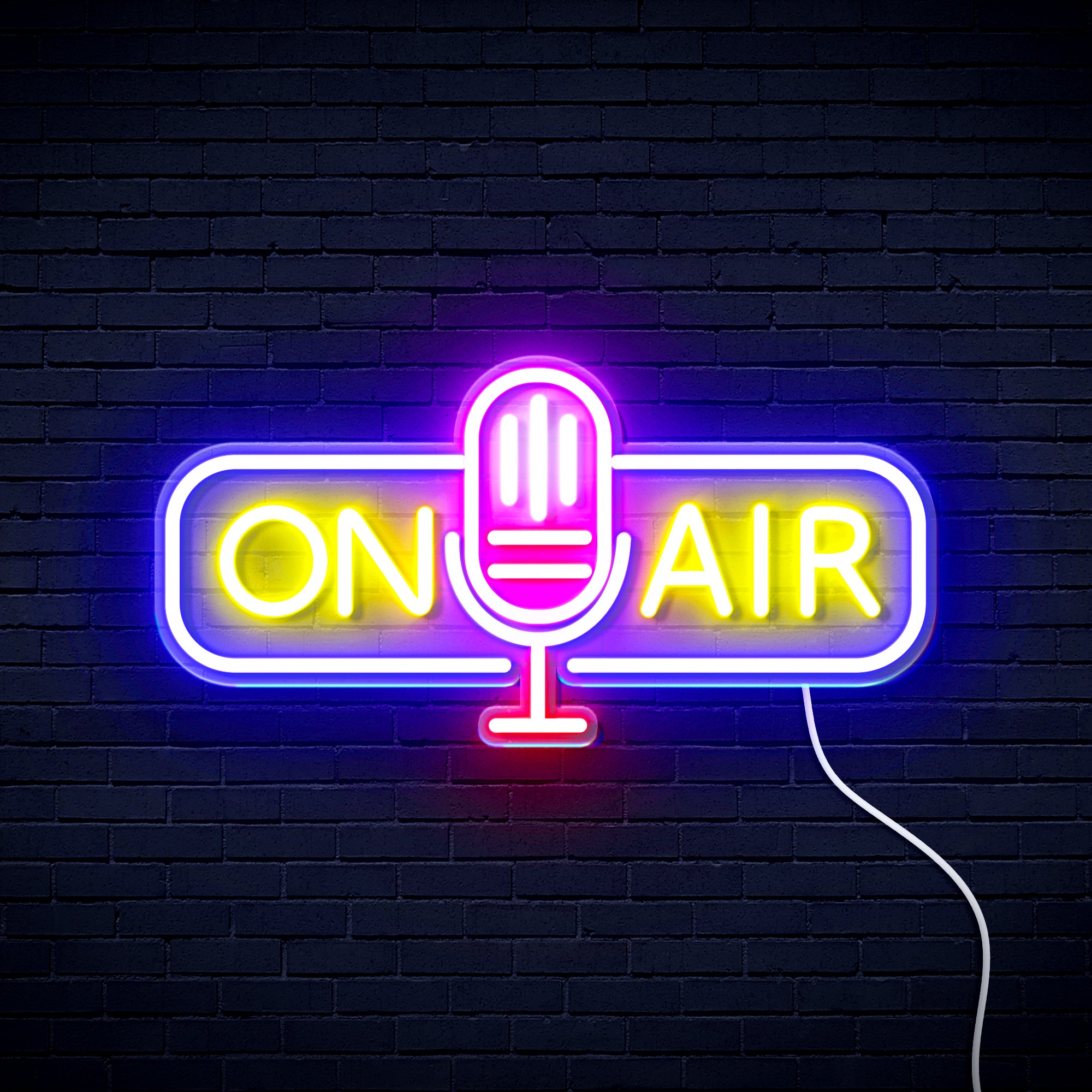 ADVPRO On Air Microphone Ultra-Bright LED Neon Sign with 13 ...