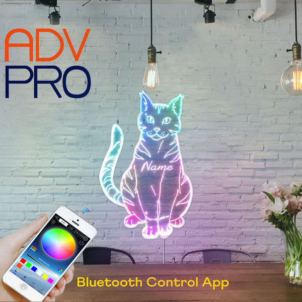advpro-personalized-name-family-cat-p0052-tm