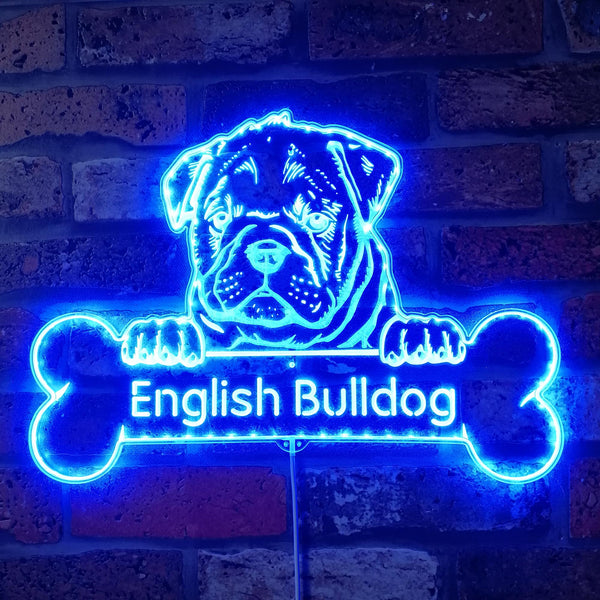 Name Personalize English Bulldog st06-fnd-p0069-tm
