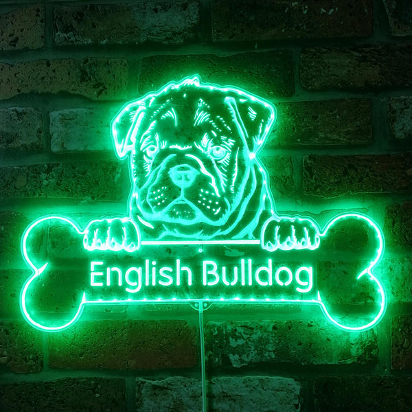 Name Personalize English Bulldog st06-fnd-p0069-tm