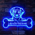 Name Personalize Labrador Retriever st06-fnd-p0075-tm