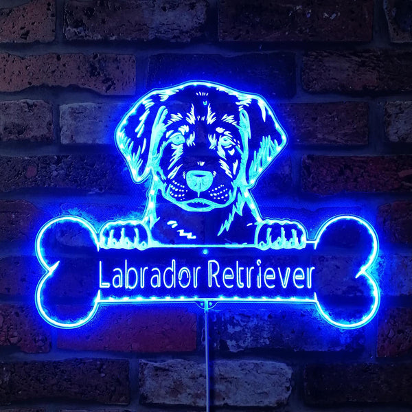 Name Personalize Labrador Retriever st06-fnd-p0075-tm