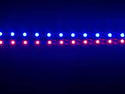 AdvPro - ADVPRO Handmade LED Neon Dual Color st6 Replacement Light Strip - Accessories