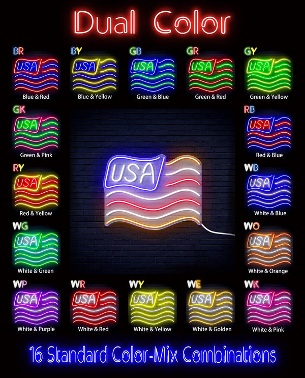 ADVPRO USA Flag Ultra-Bright LED Neon Sign fn-i4116 - Dual-Color
