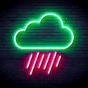 ADVPRO Cloud and Raining Ultra-Bright LED Neon Sign fnu0010 - Green & Pink
