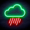 ADVPRO Cloud and Raining Ultra-Bright LED Neon Sign fnu0010 - Green & Red
