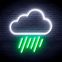 ADVPRO Cloud and Raining Ultra-Bright LED Neon Sign fnu0010 - White & Green