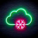 ADVPRO Cloud and Snowflake Ultra-Bright LED Neon Sign fnu0013 - Green & Pink