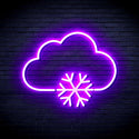 ADVPRO Cloud and Snowflake Ultra-Bright LED Neon Sign fnu0013 - Purple