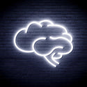 ADVPRO Brain Ultra-Bright LED Neon Sign fnu0063 - White