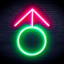 ADVPRO Male Symbol Ultra-Bright LED Neon Sign fnu0068 - Green & Pink