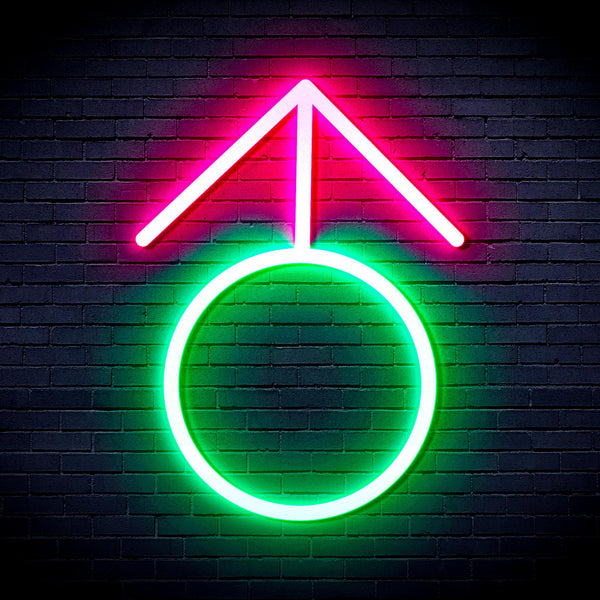 ADVPRO Male Symbol Ultra-Bright LED Neon Sign fnu0068 - Green & Pink