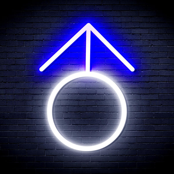 ADVPRO Male Symbol Ultra-Bright LED Neon Sign fnu0068 - White & Blue