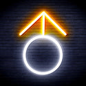 ADVPRO Male Symbol Ultra-Bright LED Neon Sign fnu0068 - White & Golden Yellow